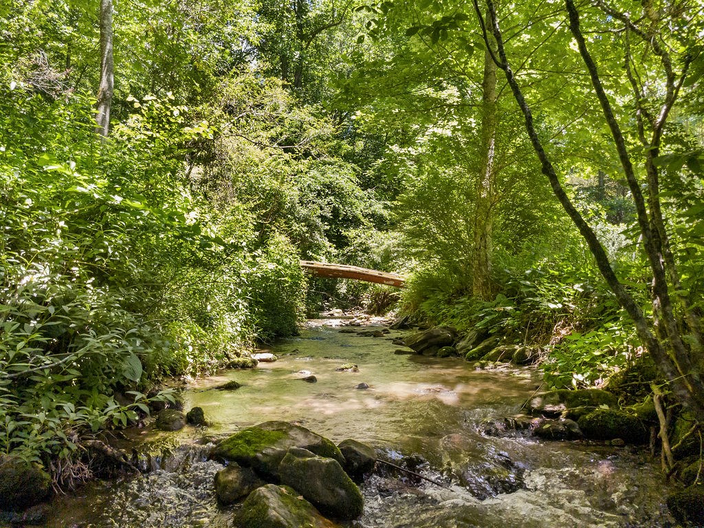 226 Little Ellijay Rd
