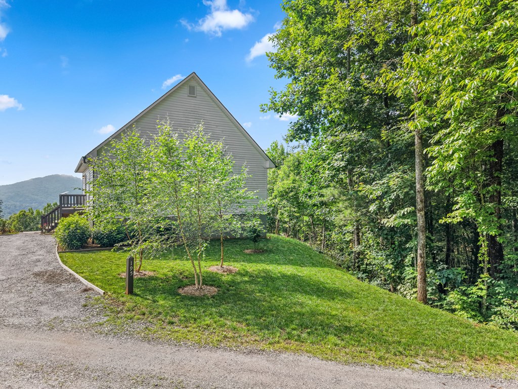 195 Mystic Mountain Ridge