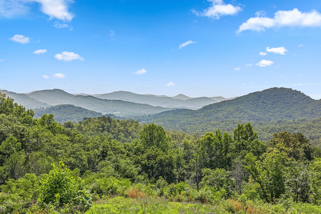 195 Mystic Mountain Ridge