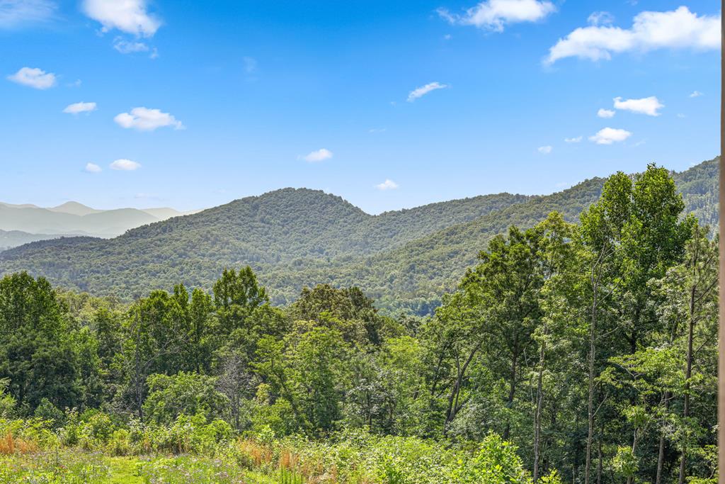 195 Mystic Mountain Ridge