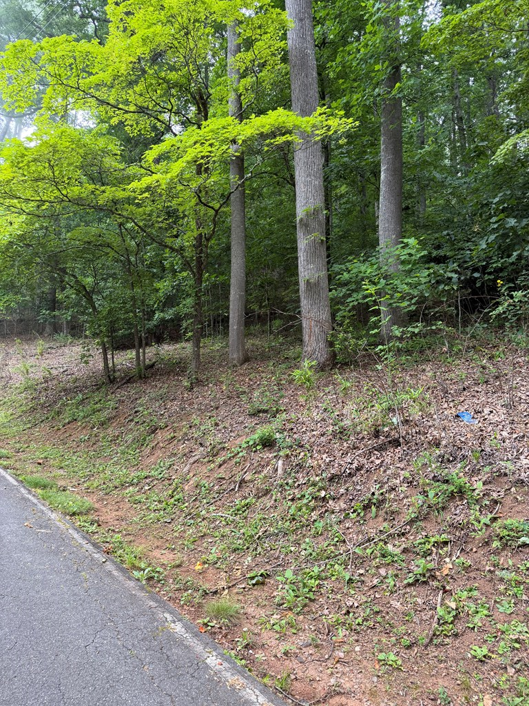 Lot #41 Winding Way Dr