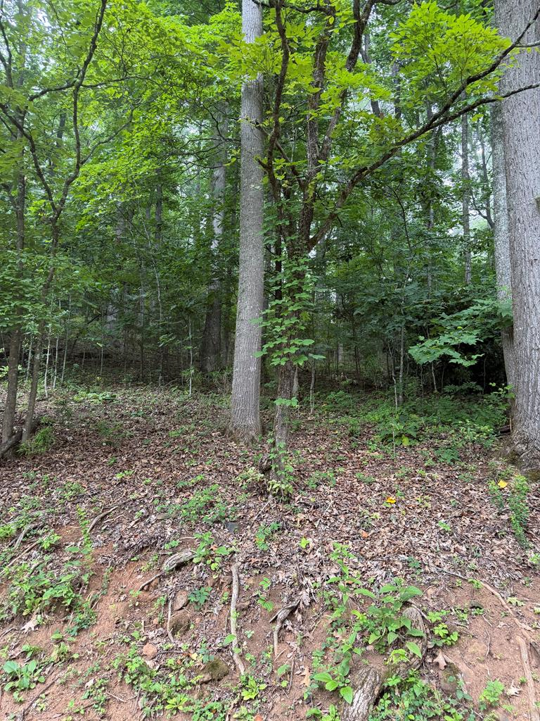 Lot #41 Winding Way Dr