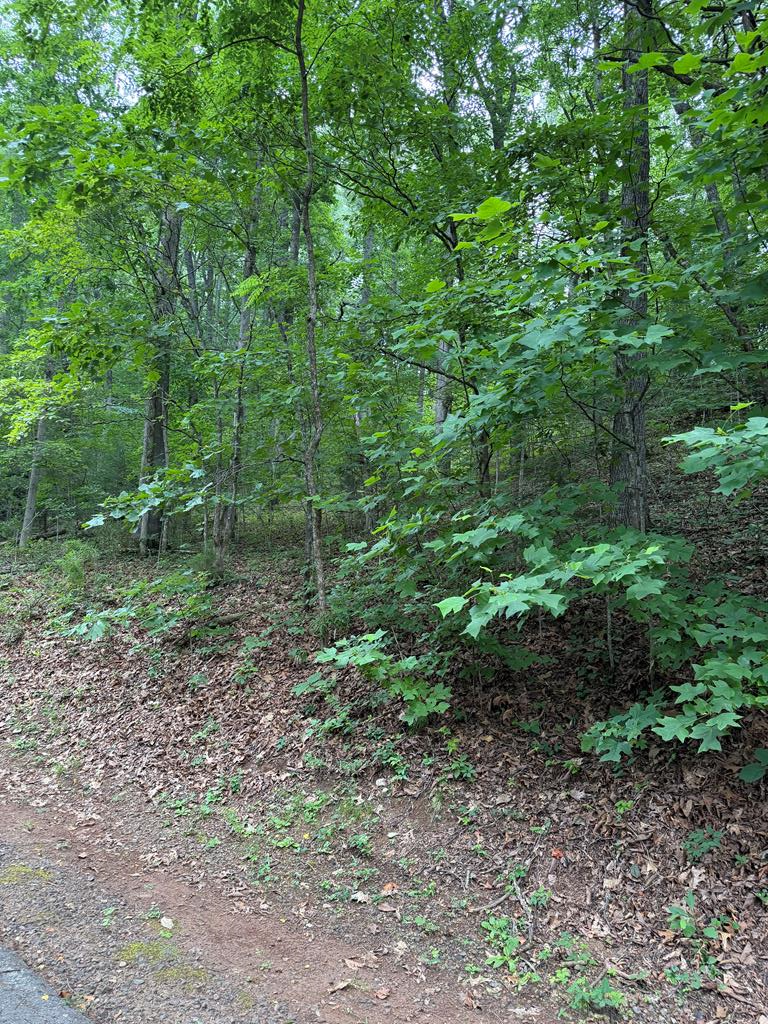 Lot #40 Winding Way Dr