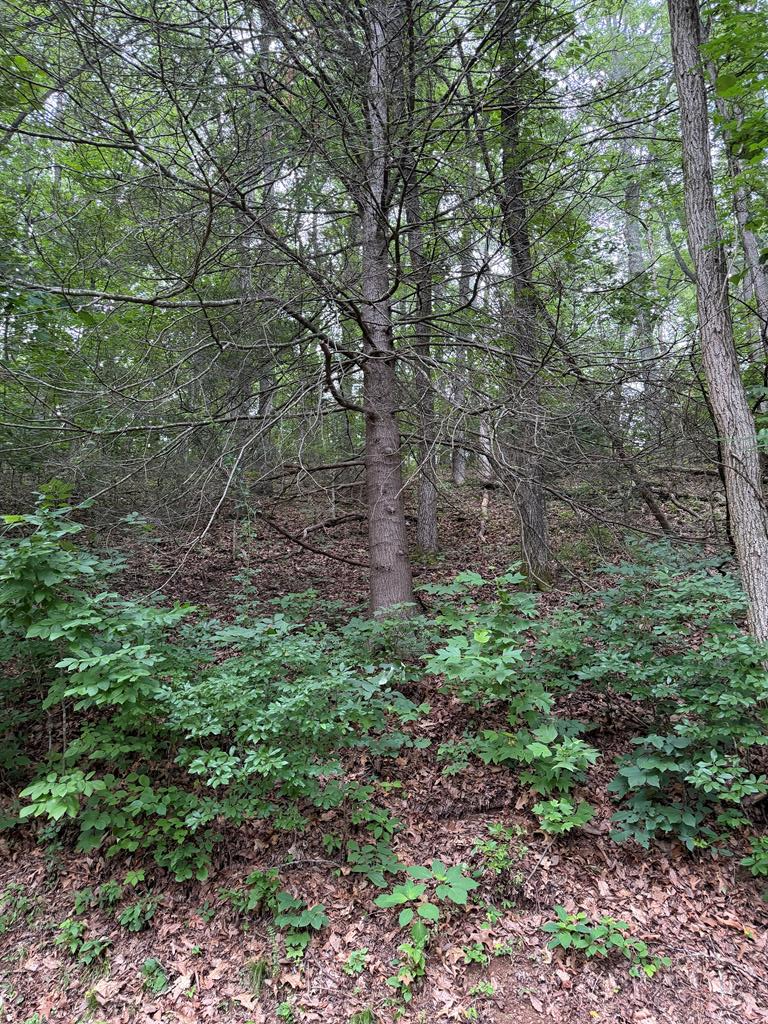 Lot #39 Winding Way Dr