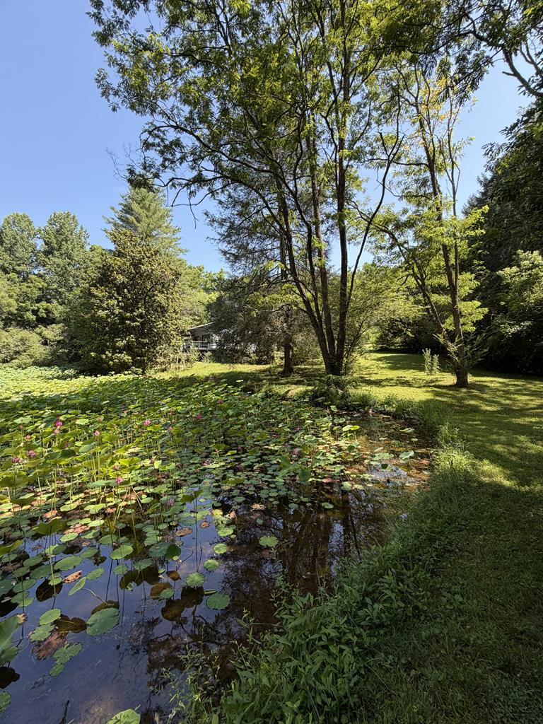120 Trimont Trl