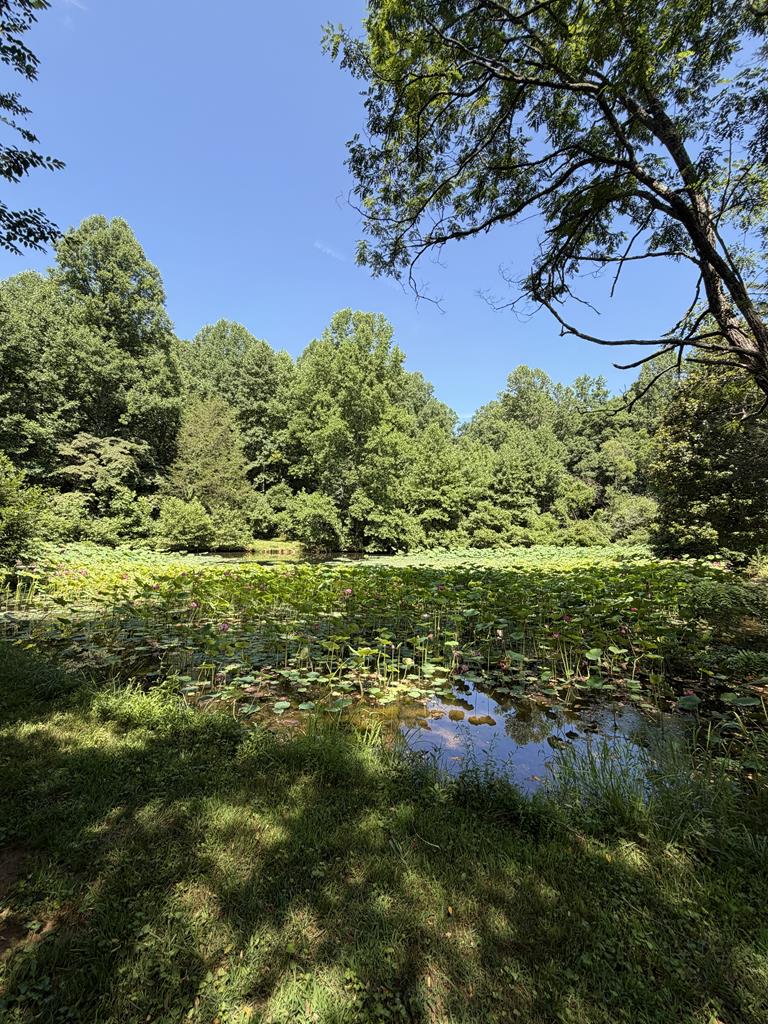 120 Trimont Trl