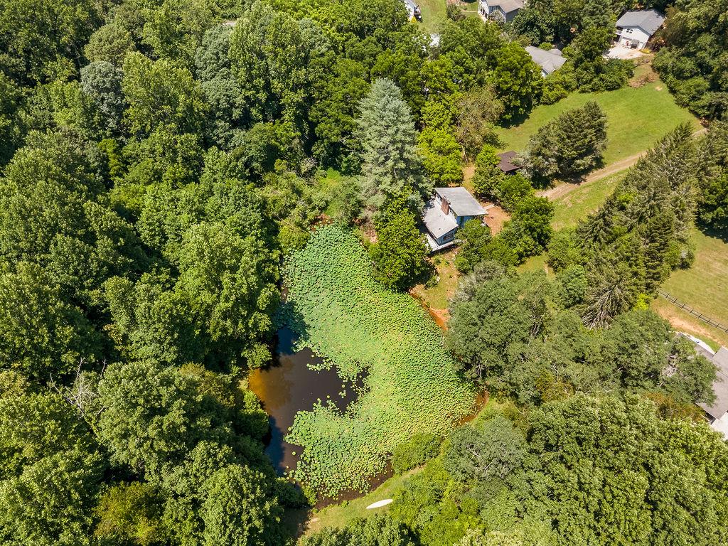 120 Trimont Trl