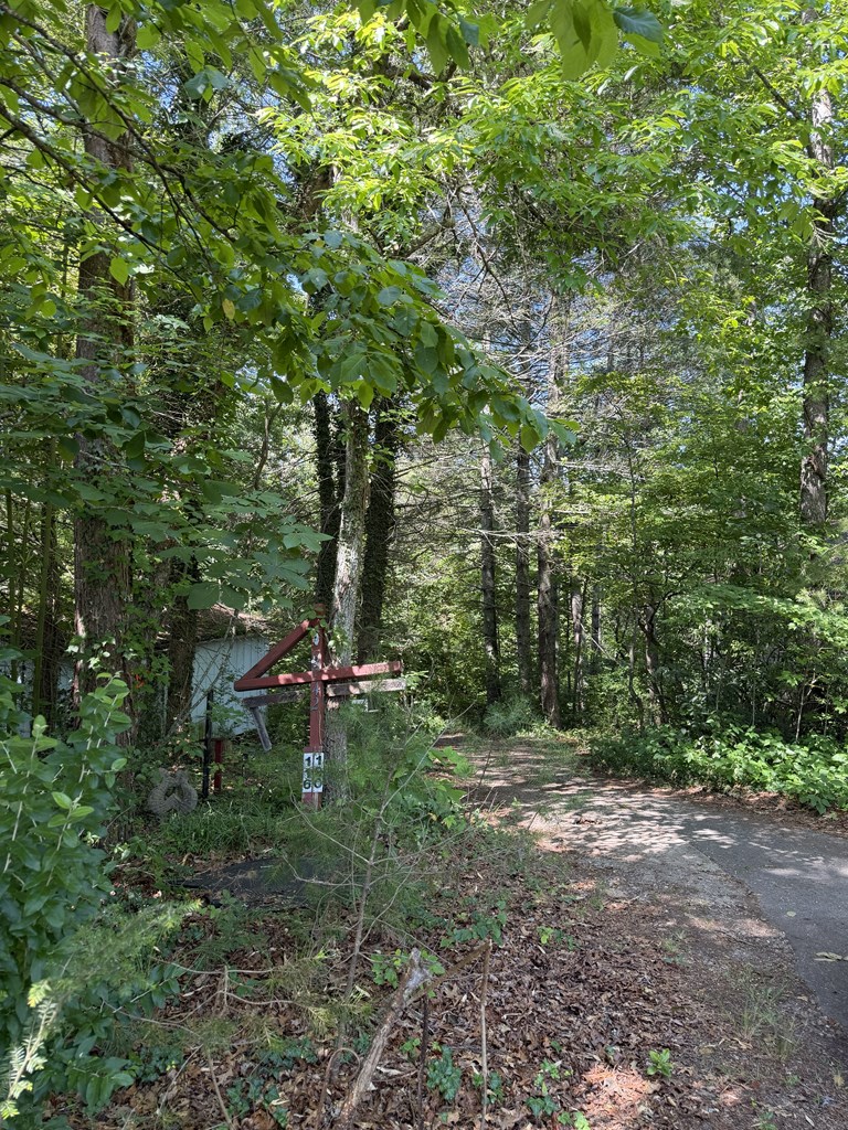 120 Trimont Trl