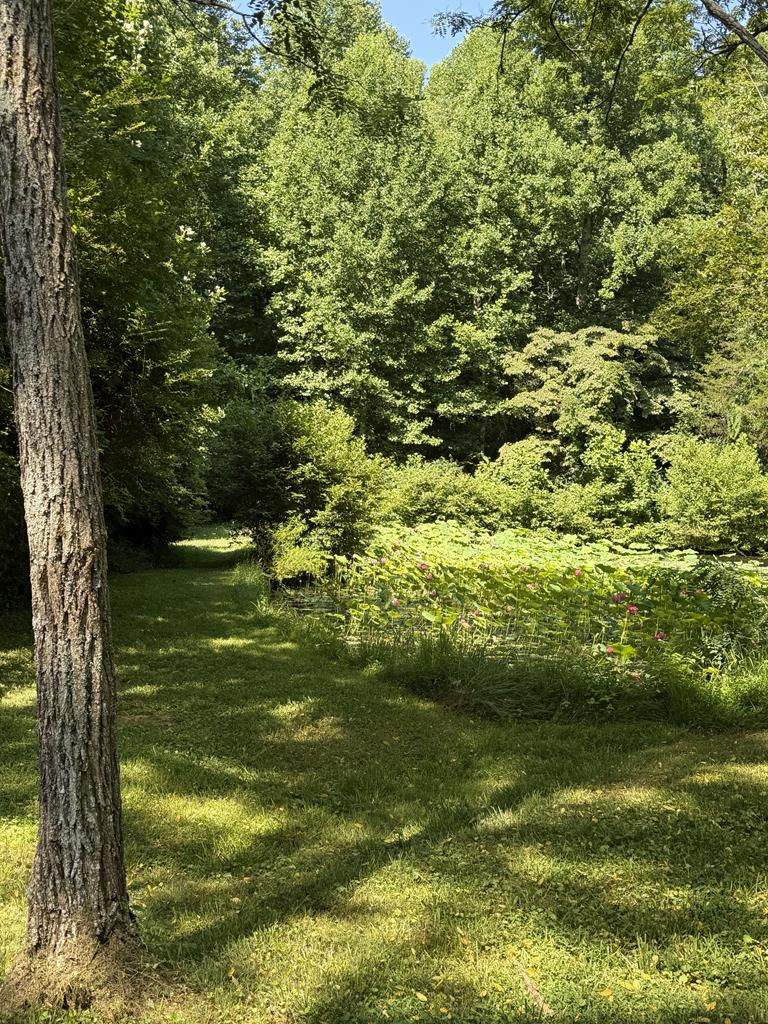 120 Trimont Trl