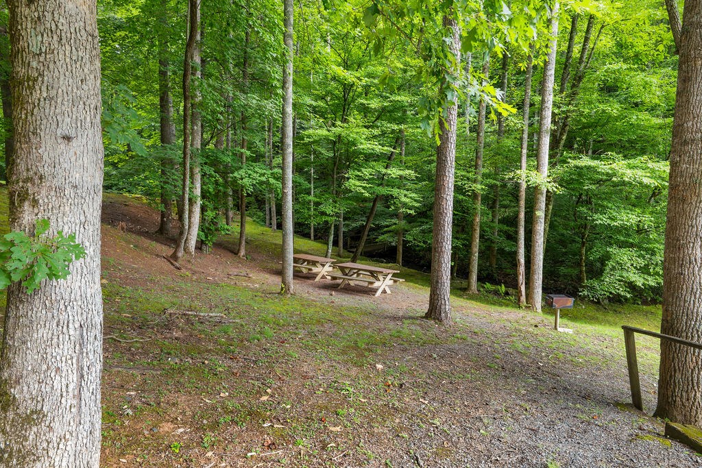 00 Brandy Lane