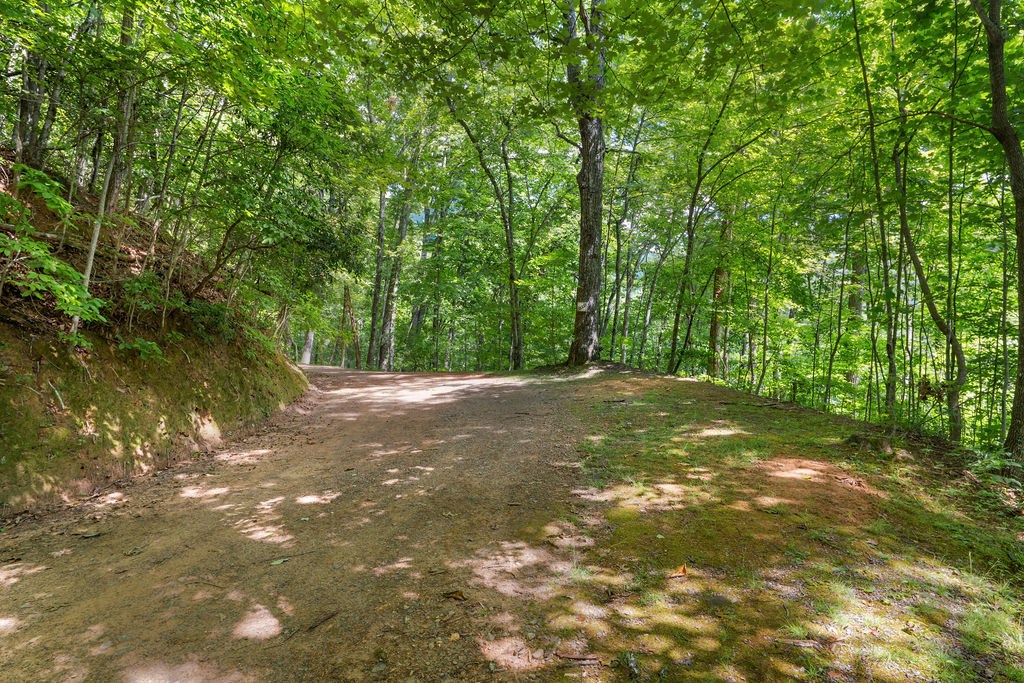 00 Brandy Lane
