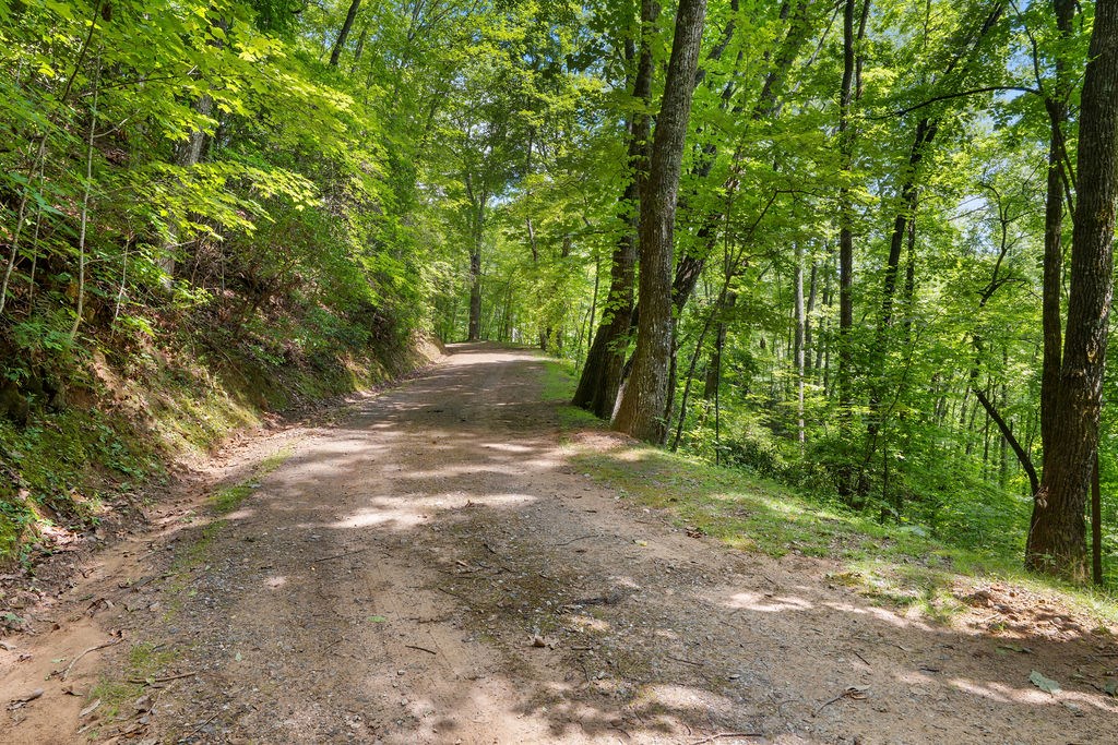 00 Brandy Lane