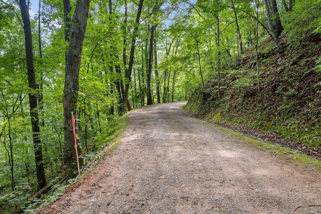 00 Brandy Lane