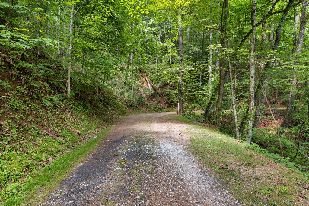 00 Brandy Lane