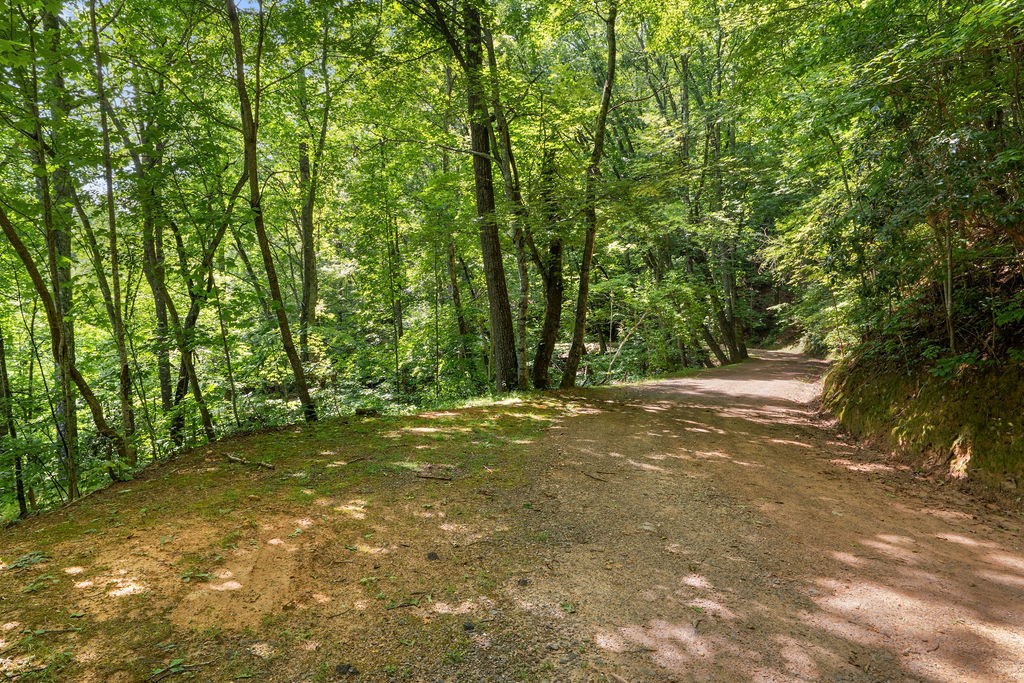 00 Brandy Lane