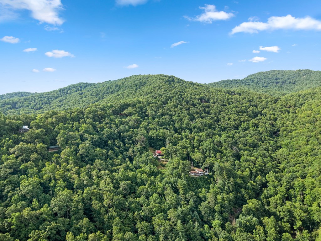 614 Waterfall Drive