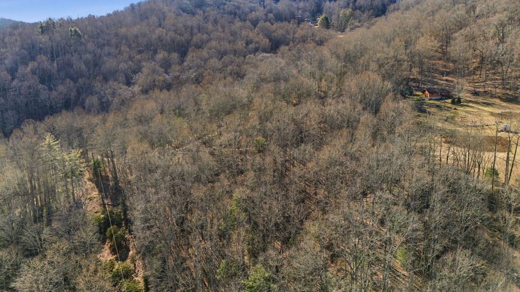 149 Wild Turkey Ln