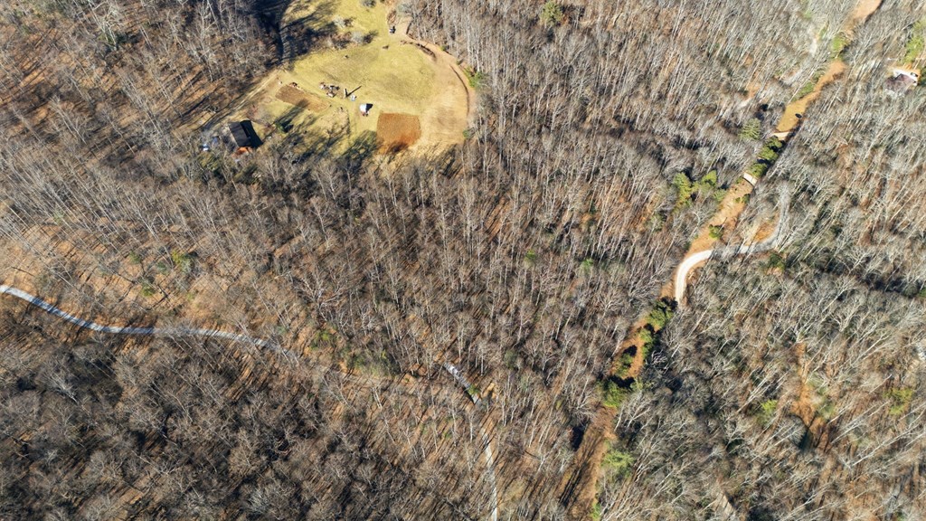 149 Wild Turkey Ln