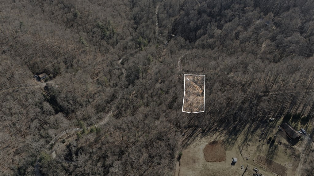 149 Wild Turkey Ln