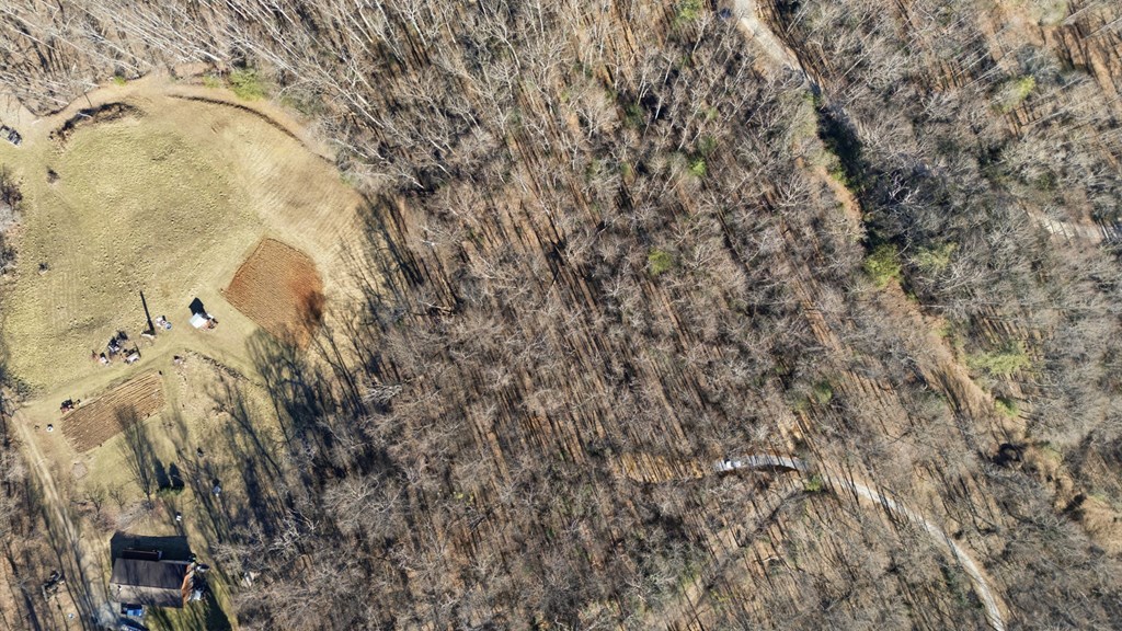 149 Wild Turkey Ln