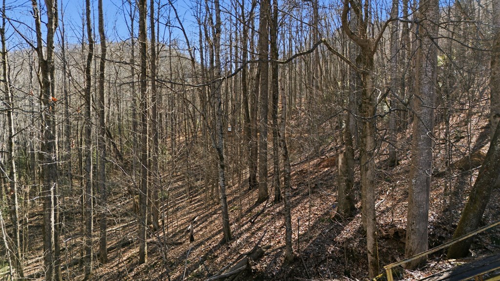 149 Wild Turkey Ln