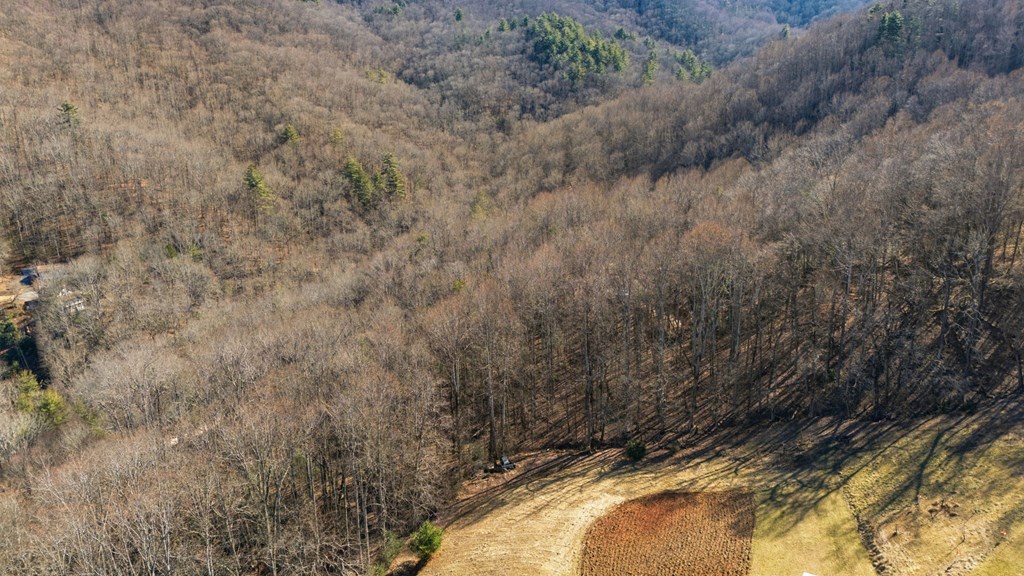 149 Wild Turkey Ln