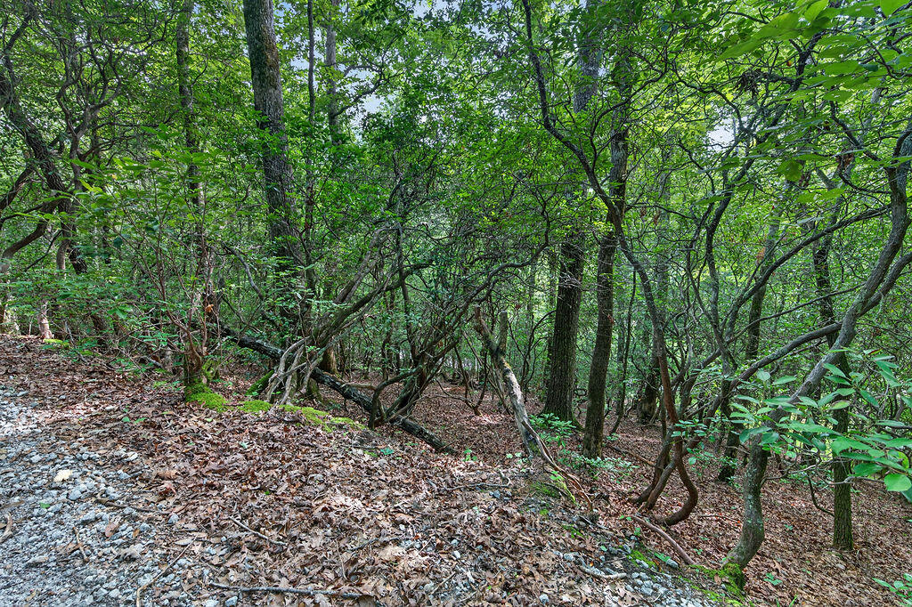 00 Quail Haven Rd