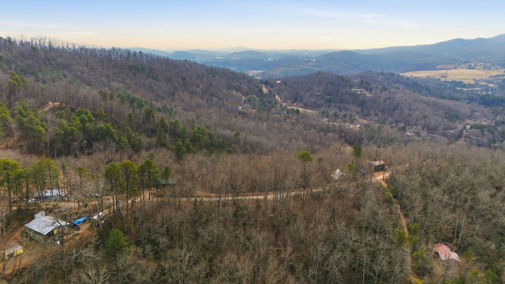 1486 Piney Grove Rd LOT 17/18