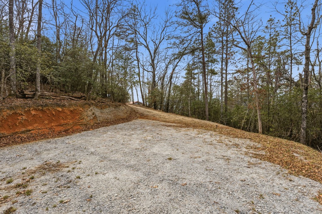 1486 Piney Grove Rd LOT 17/18