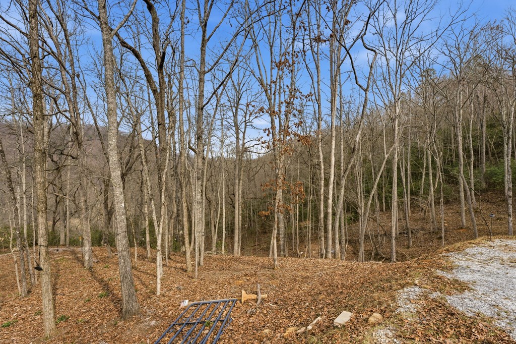 1486 Piney Grove Rd LOT 17/18
