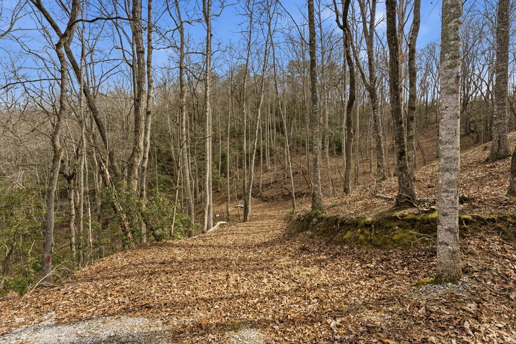 1486 Piney Grove Rd LOT 17/18