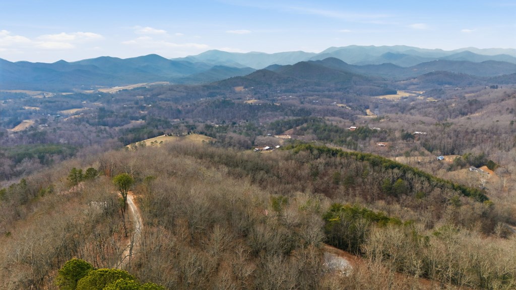1486 Piney Grove Rd LOT 17/18