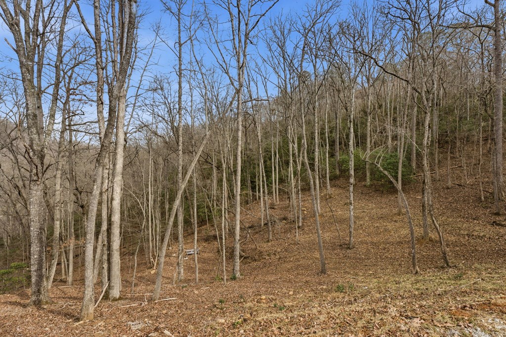 1486 Piney Grove Rd LOT 17/18