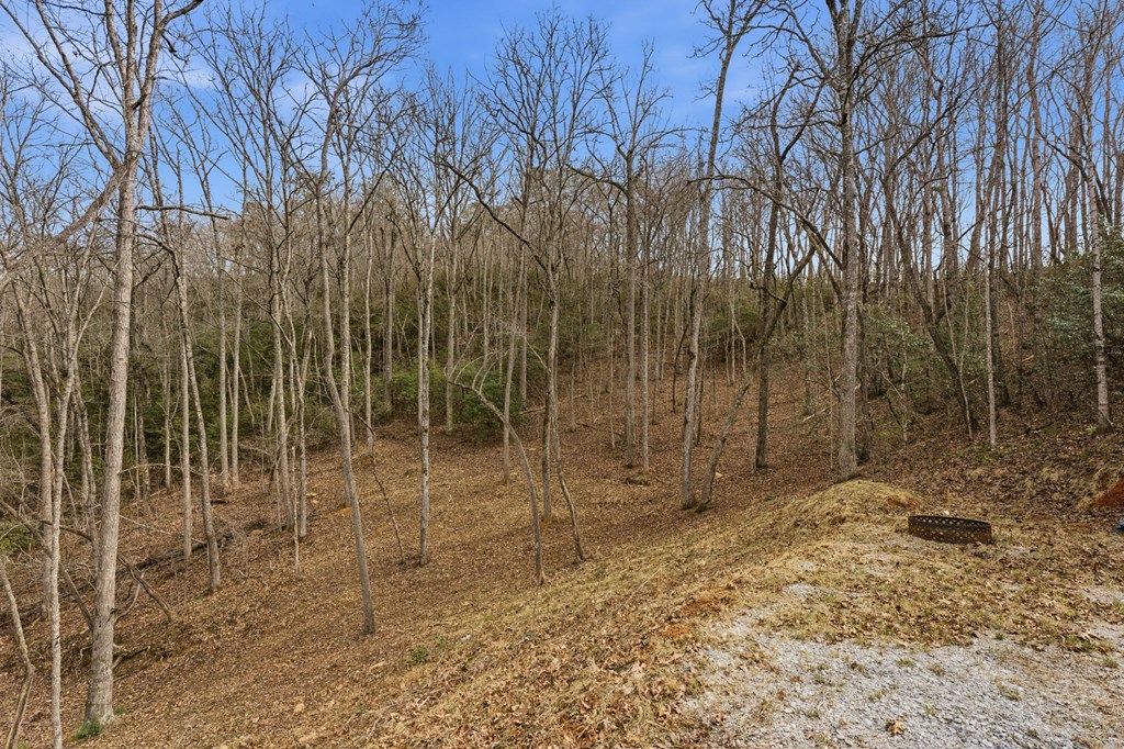 1486 Piney Grove Rd LOT 17/18