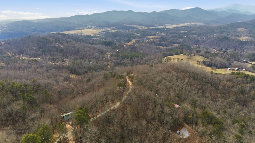 1486 Piney Grove Rd LOT 17/18