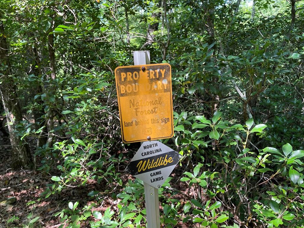 1486 Piney Grove Rd LOT 17/18