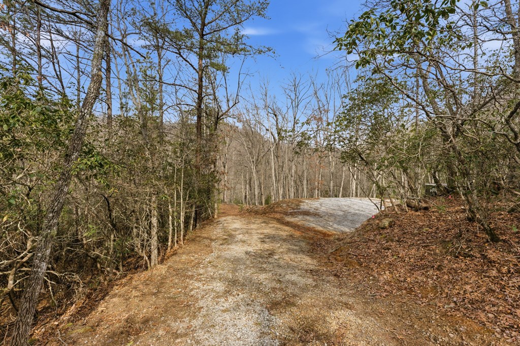 1486 Piney Grove Rd LOT 17/18