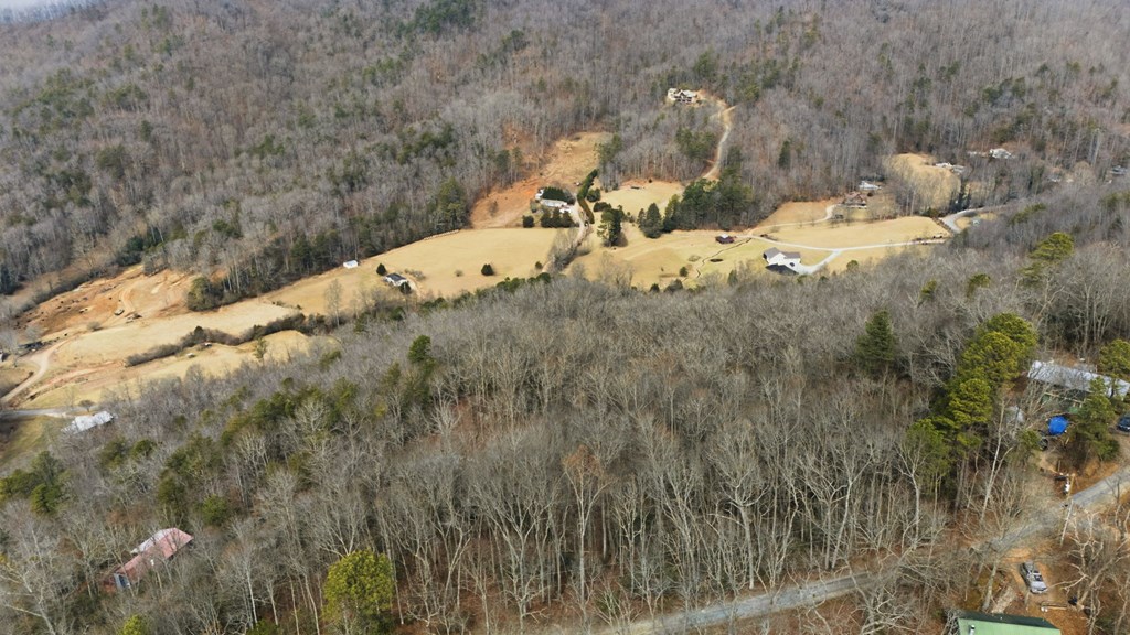 1486 Piney Grove Rd LOT 17/18