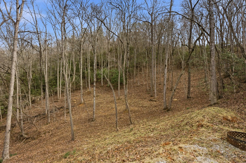 1486 Piney Grove Rd LOT 17/18