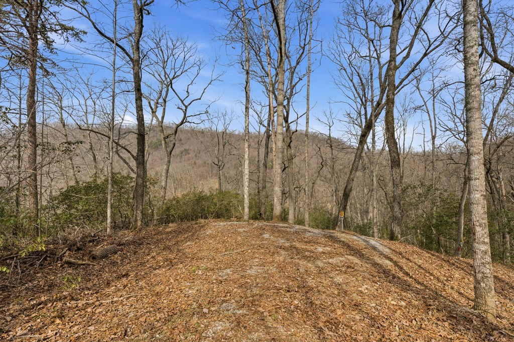 1486 Piney Grove Rd LOT 17/18