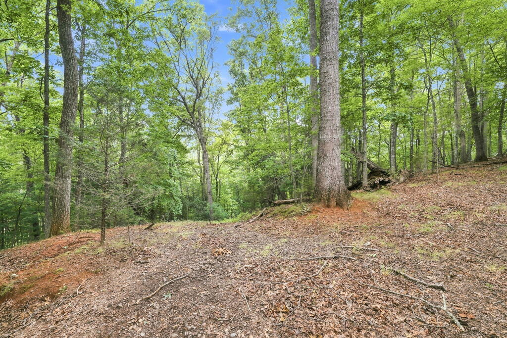 Lot 15 Willow Wind Heights