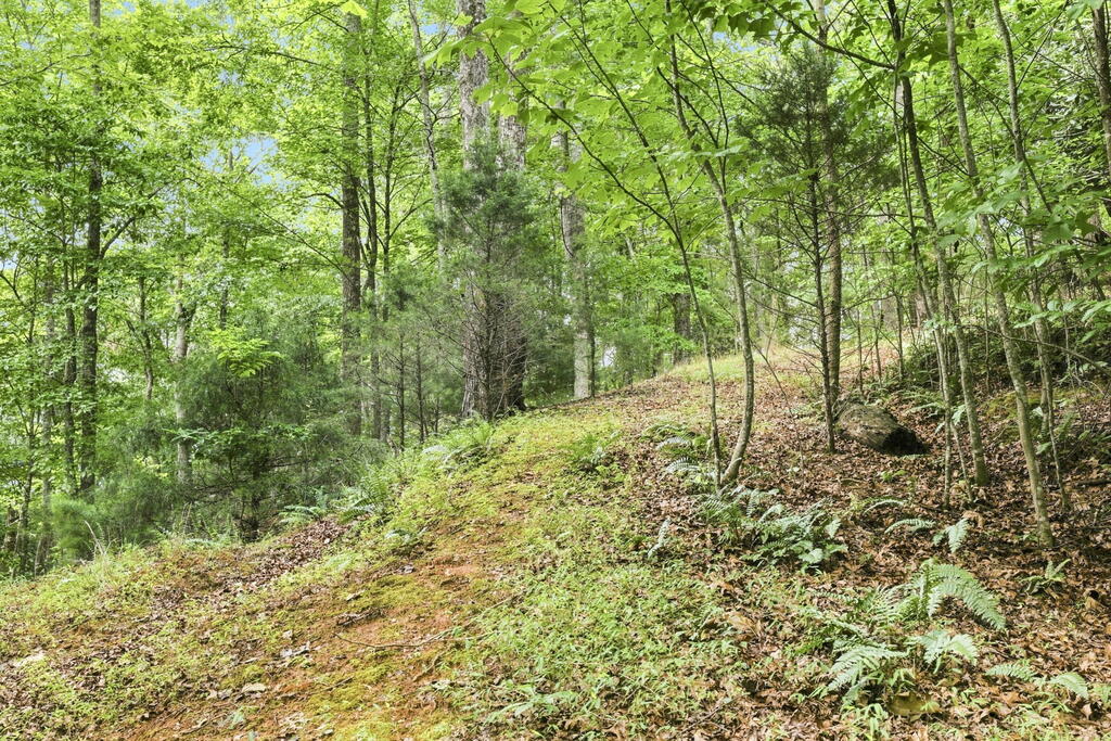 Lot 16 Willow Wind Heights