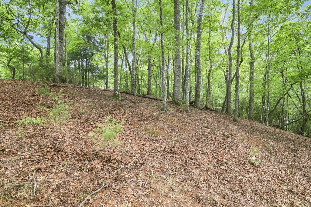 Lot 16 Willow Wind Heights