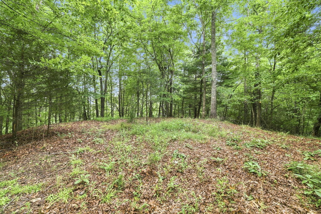 Lot 16 Willow Wind Heights