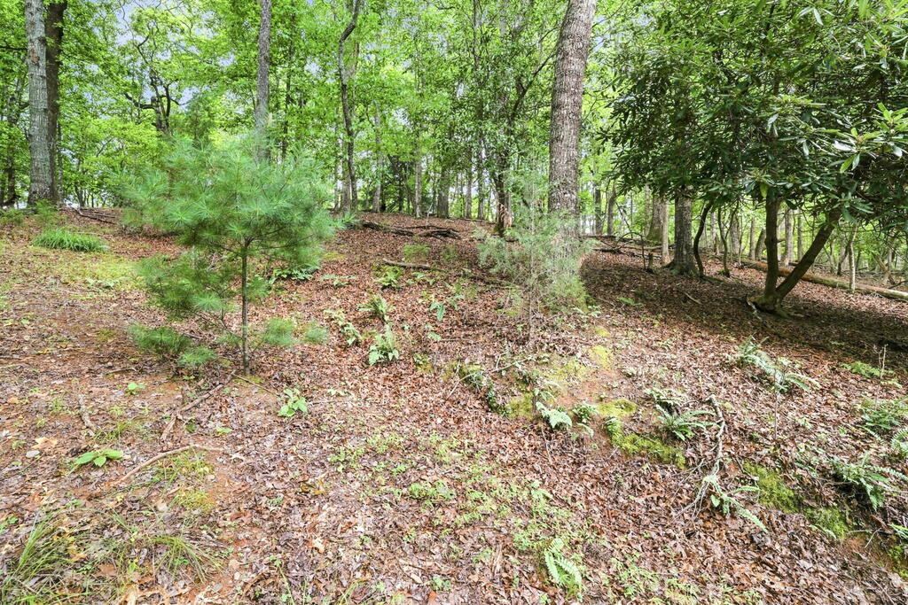 Lot 16 Willow Wind Heights