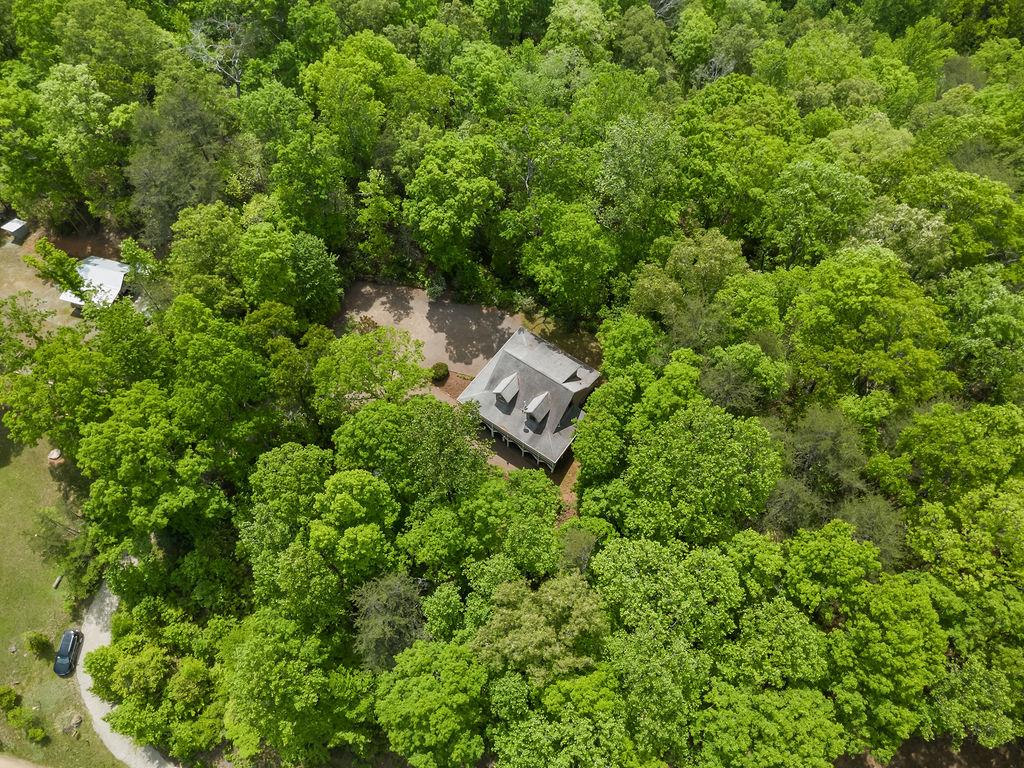 251 Tall Timber Drive