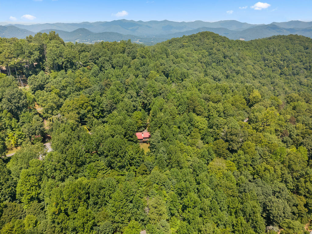 790 Woodland Heights