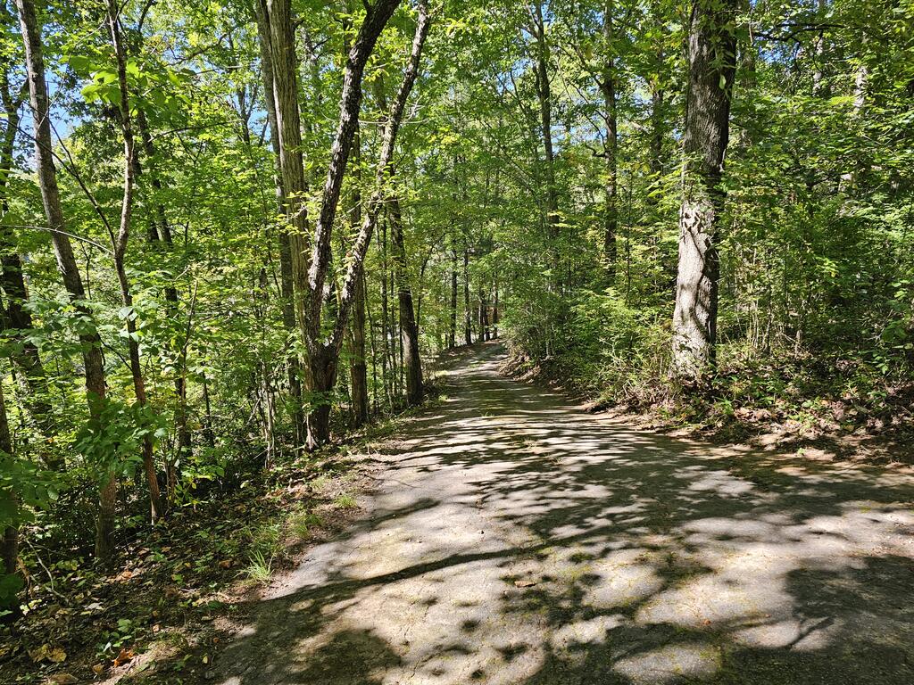 56 Hickory Hollow Rd.