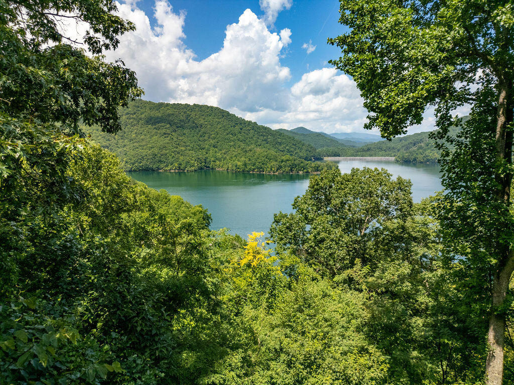 135 Ridge Top Dr