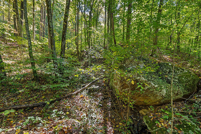 Lot 180 Deer Run LOT 180
